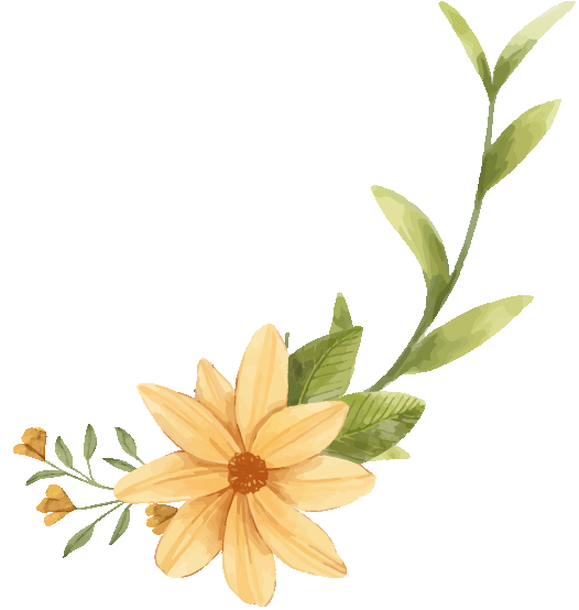 Non wedding 02d.png