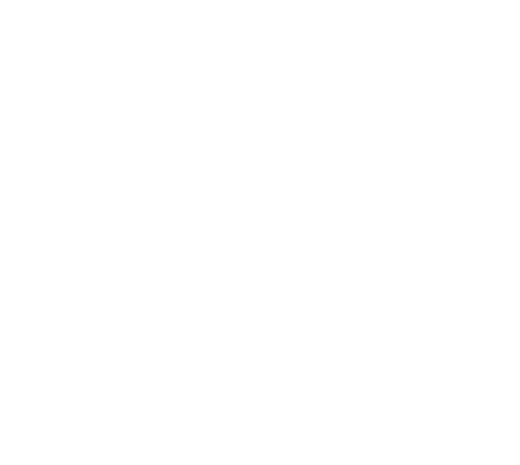 Ornament.png